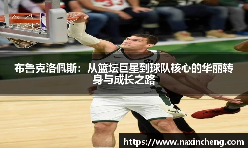 HB火博体育官方网站