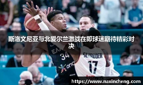 斯洛文尼亚与北爱尔兰激战在即球迷期待精彩对决
